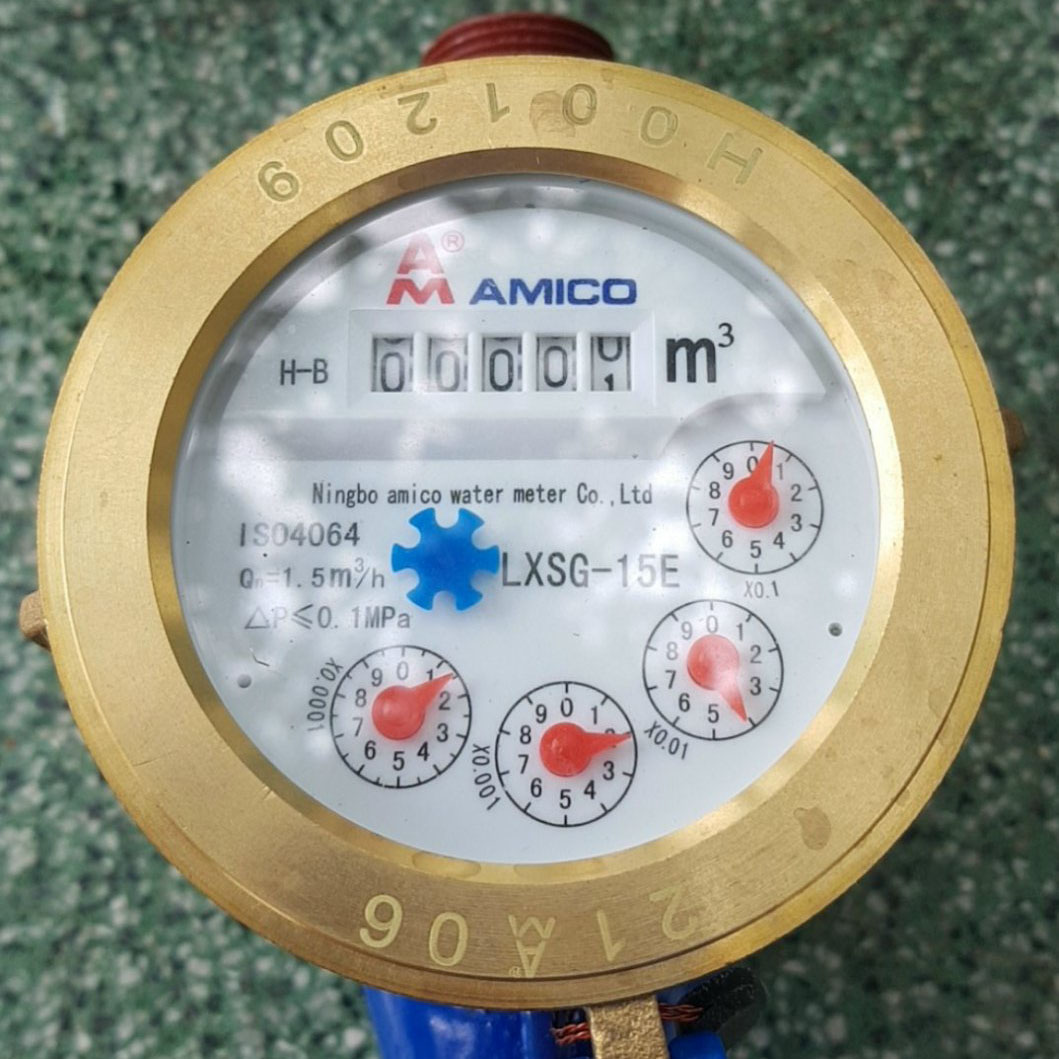 1. Đồng hồ cơ Amico (2)